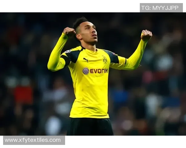 足球球星与娱乐圈明星的不同之处：身份、压力与公众形象的多重对比